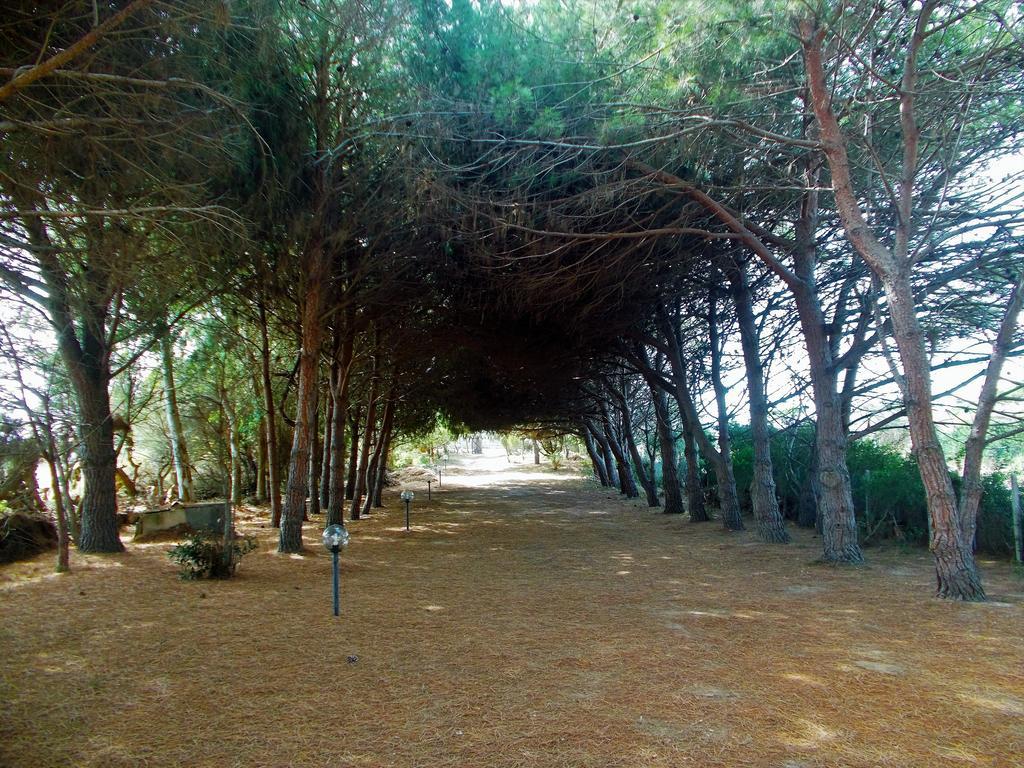 Pineta Spiaggia Grande كالاسيتا المظهر الخارجي الصورة
