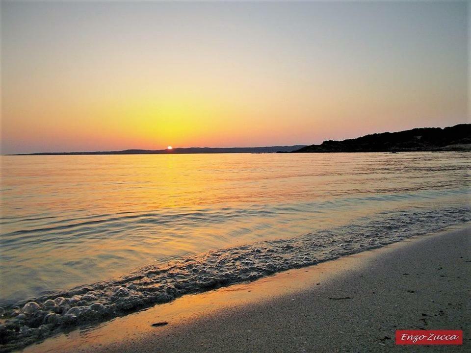 Pineta Spiaggia Grande كالاسيتا المظهر الخارجي الصورة